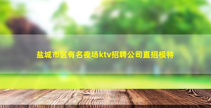 盐城市区有名夜场ktv招聘公司直招模特